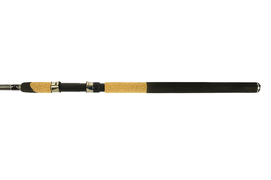 Спиннинг SWD Carbon Bird