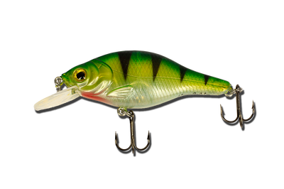 Воблер EOS LB7 Fatti Shad 65F ( 65mm/9.0g/color:SW01 ) Floating 