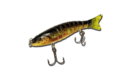 Воблер EOS J-Trout 80 col.418 ― w-pelican.com
